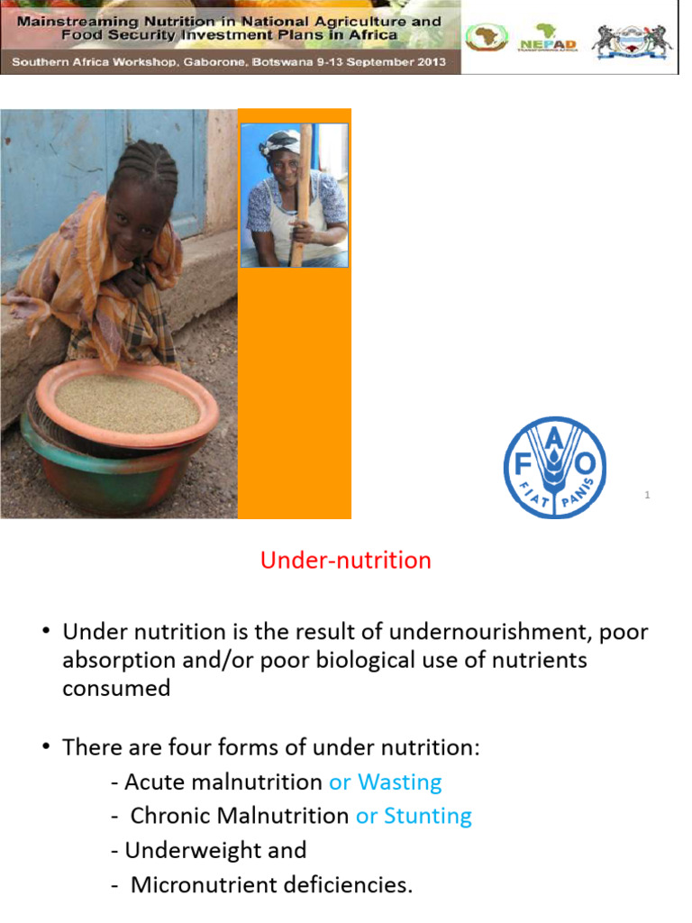 Nutrition Terminology and Hunger Analysis | PDF | Malnutrition | Nutrition