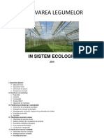 Plan de Afaceri - Cultivarea Legumelor in Sistem Ecologic