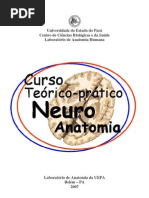 Curso Teórico-Prático de Neuroanatomia Funcional