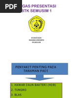 Download Penyakit Pada Tanaman Padi by Rahmad Widi SN81240686 doc pdf