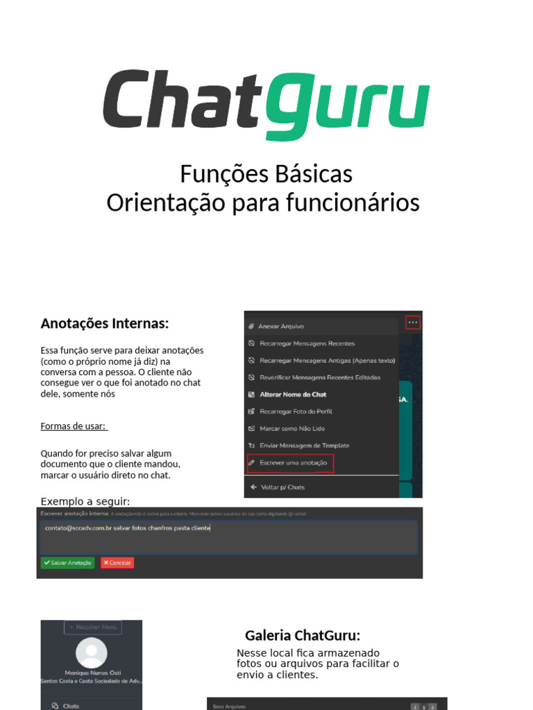 Funções Básicas do ChatGuru | PDF