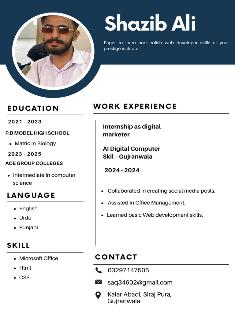 Web Developer Resume of Shazib Ali | PDF