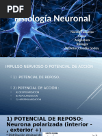 Impulso Nervioso y Sinapsis Explicados | PDF | Potencial de acción ...