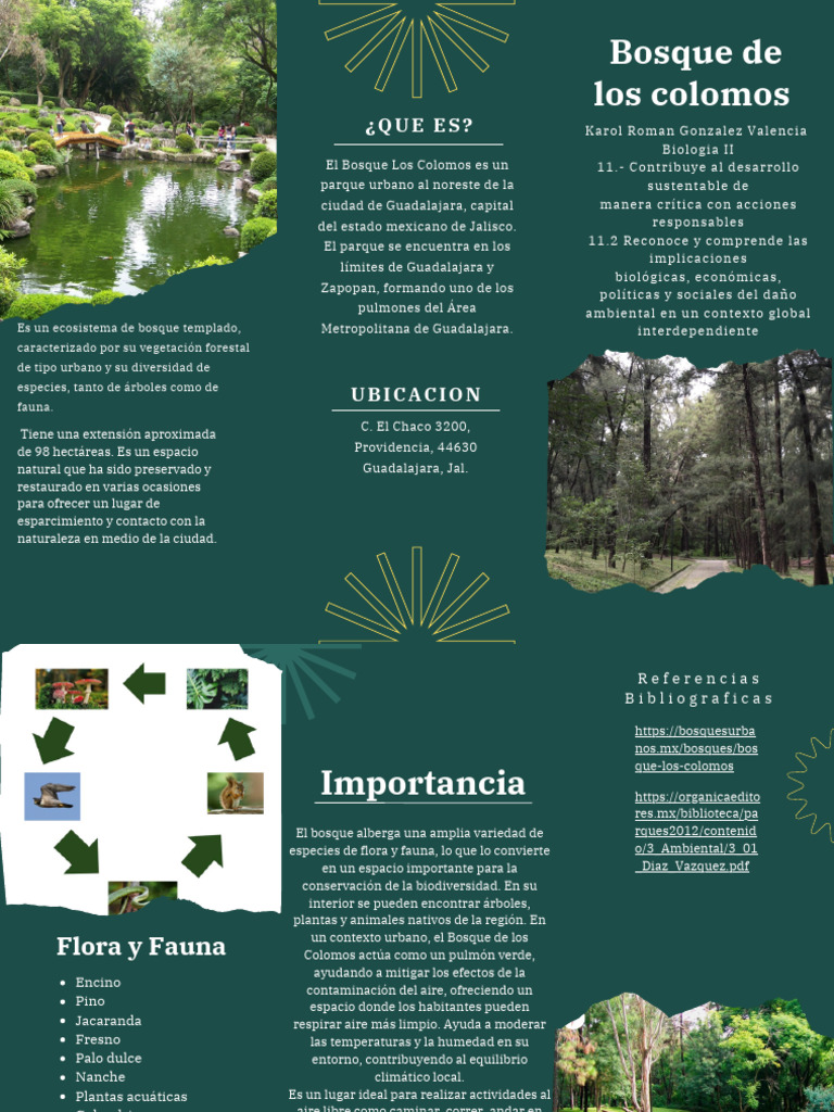 Bosque Los Colomos: Biodiversidad Urbana | PDF | Los bosques | Entorno ...