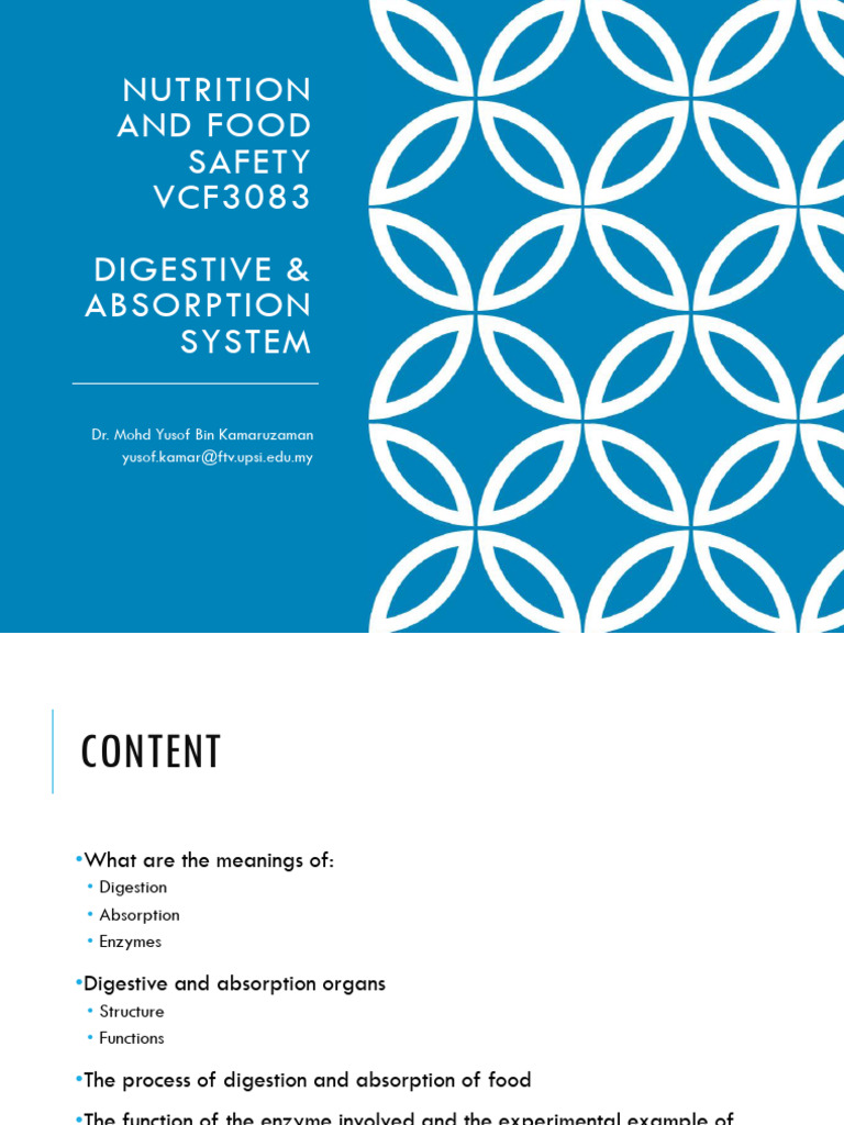 Digestive Process and Nutrient Absorption | PDF | Stomach | Small Intestine