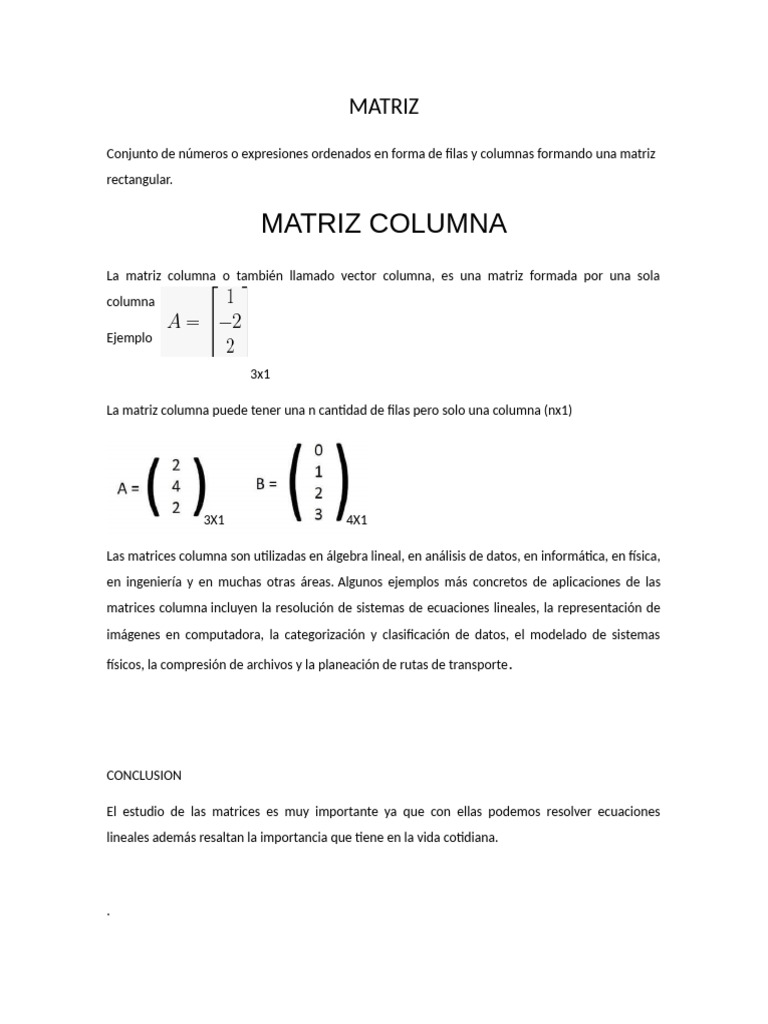 Ejemplo de Matriz Columna | PDF