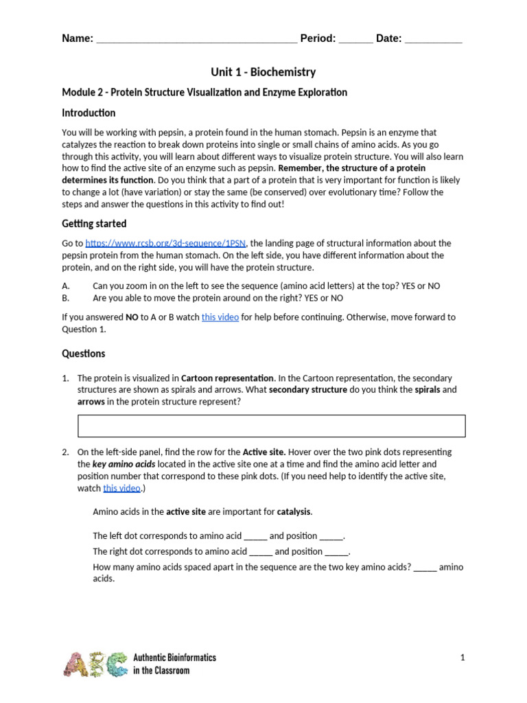 Protein Structure & Enzyme Activity Guide | PDF | Conserved Sequence ...