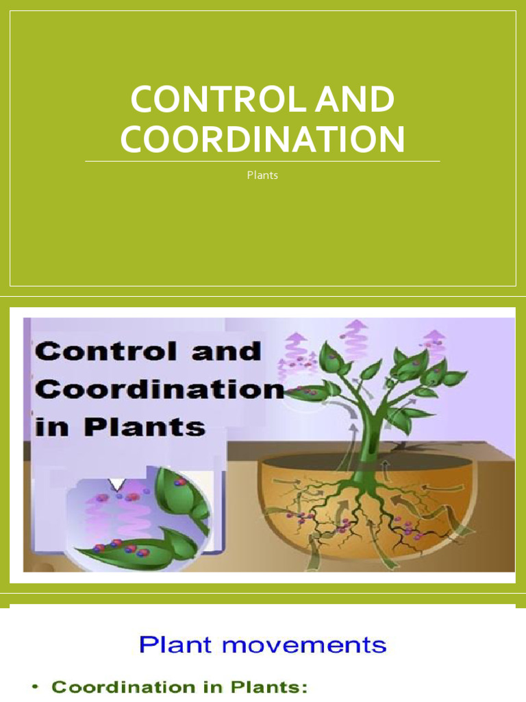 Control and Coordination in Plants | PDF