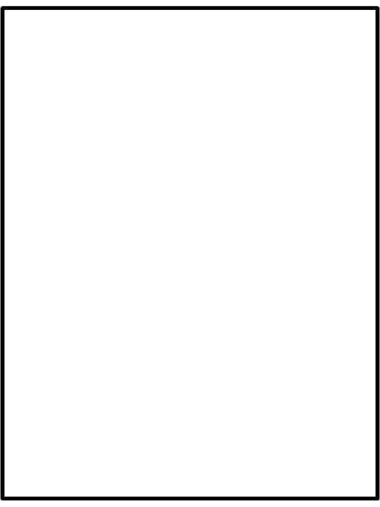 Blank Page PDF
