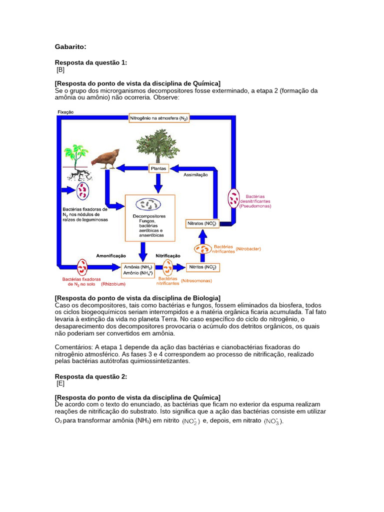 GABARITO Questões ENEM - Ecologia e Evolução | PDF | Potência nuclear ...