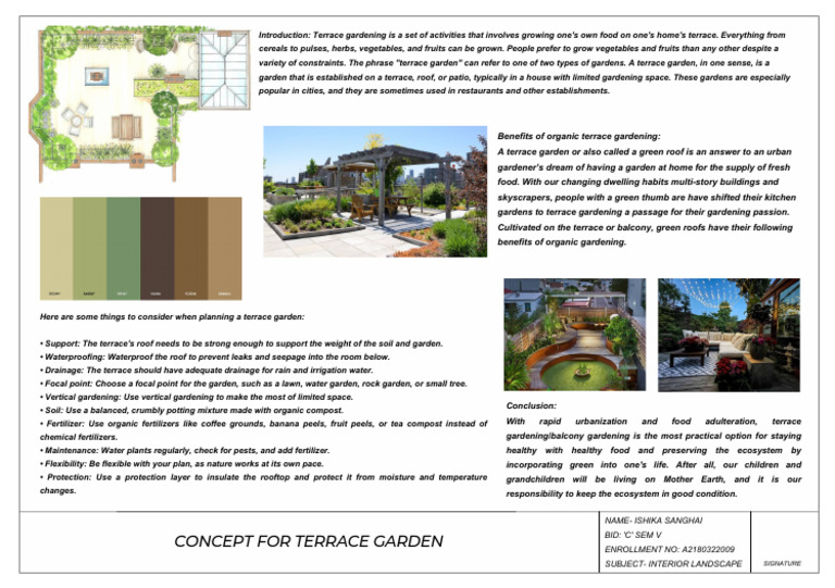 Terrace Garden Planning Guide | PDF | Gardens | Roof