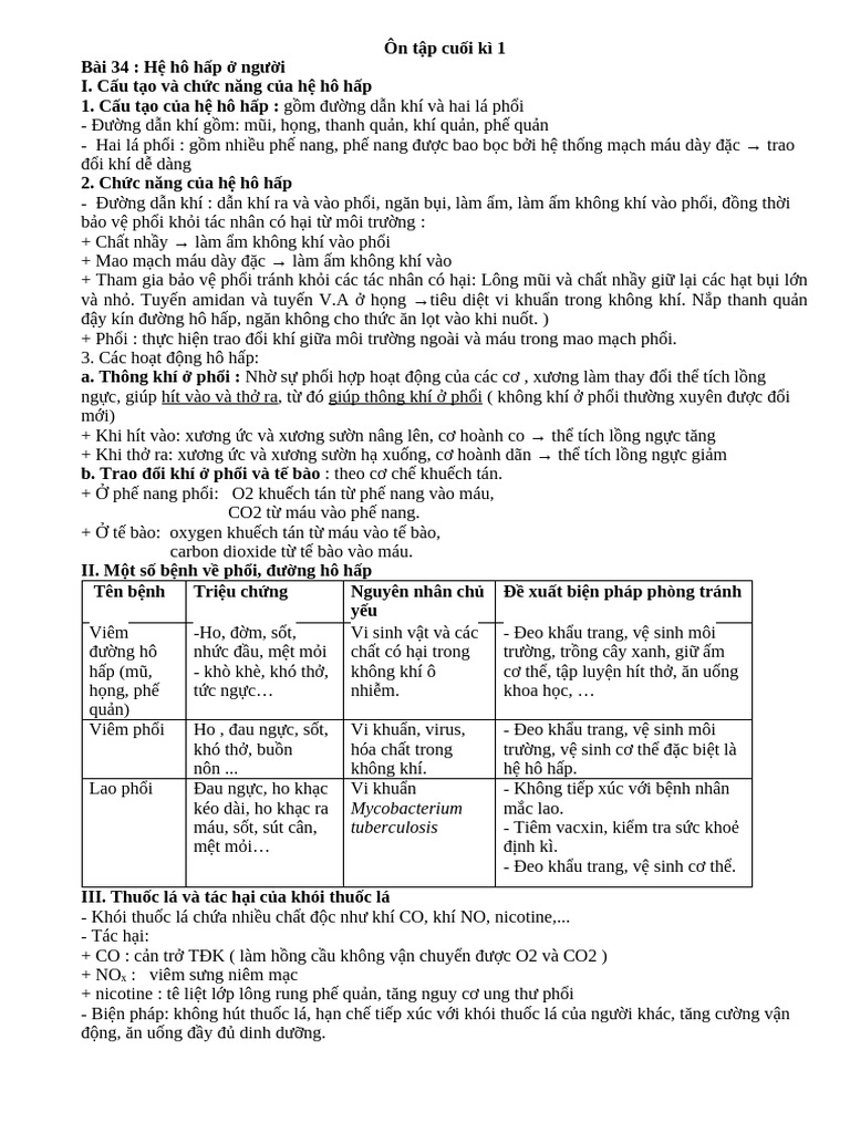 Ôn Tập Sinh 8 Cuối Kì 1 (24-25) - Tự Luận | PDF