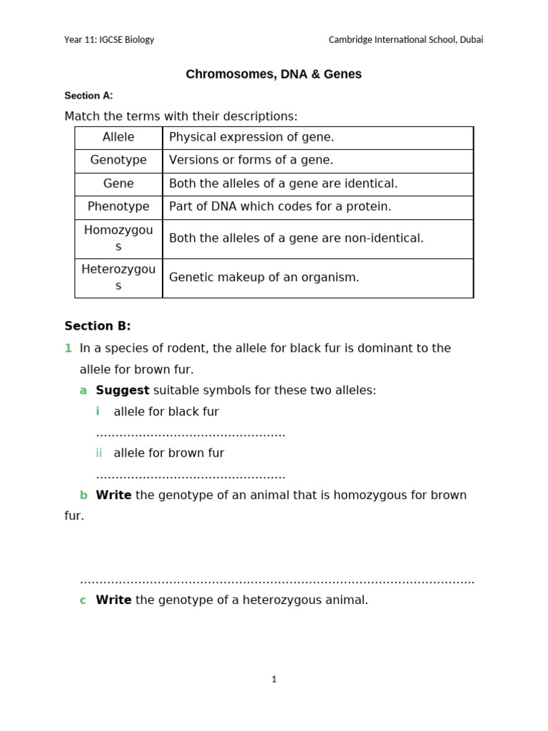 IGCSE Biology: Genes and Chromosomes | PDF | Zygosity | Allele