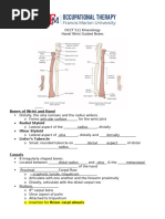 Kaplan's Cardinal Line in Hand Anatomy | PDF | Hand | Finger