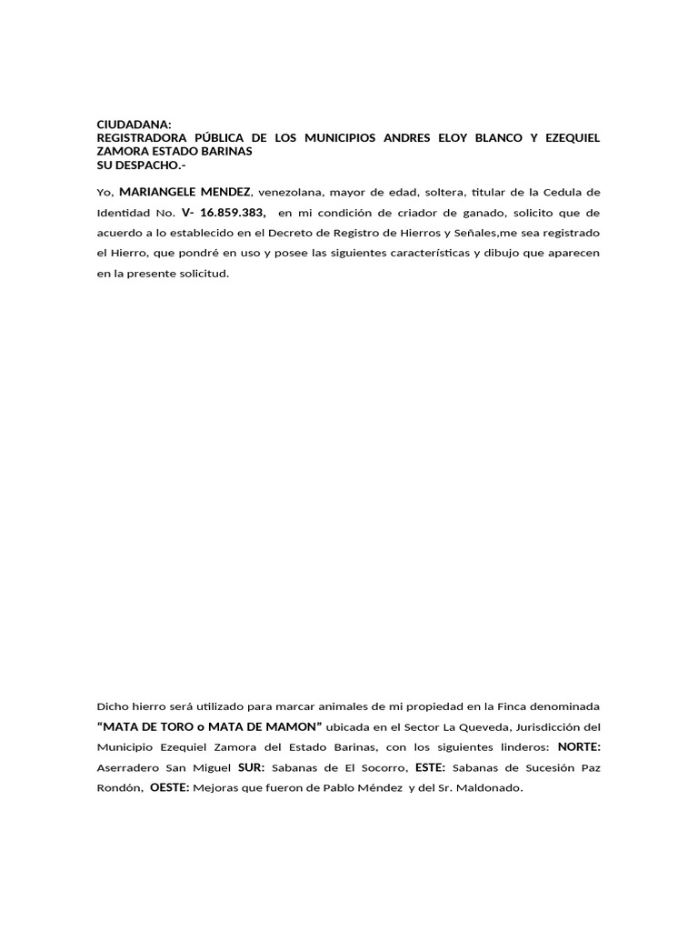 Diseño Personalizado de Marcas - Marca Registrada, image size:768x1024