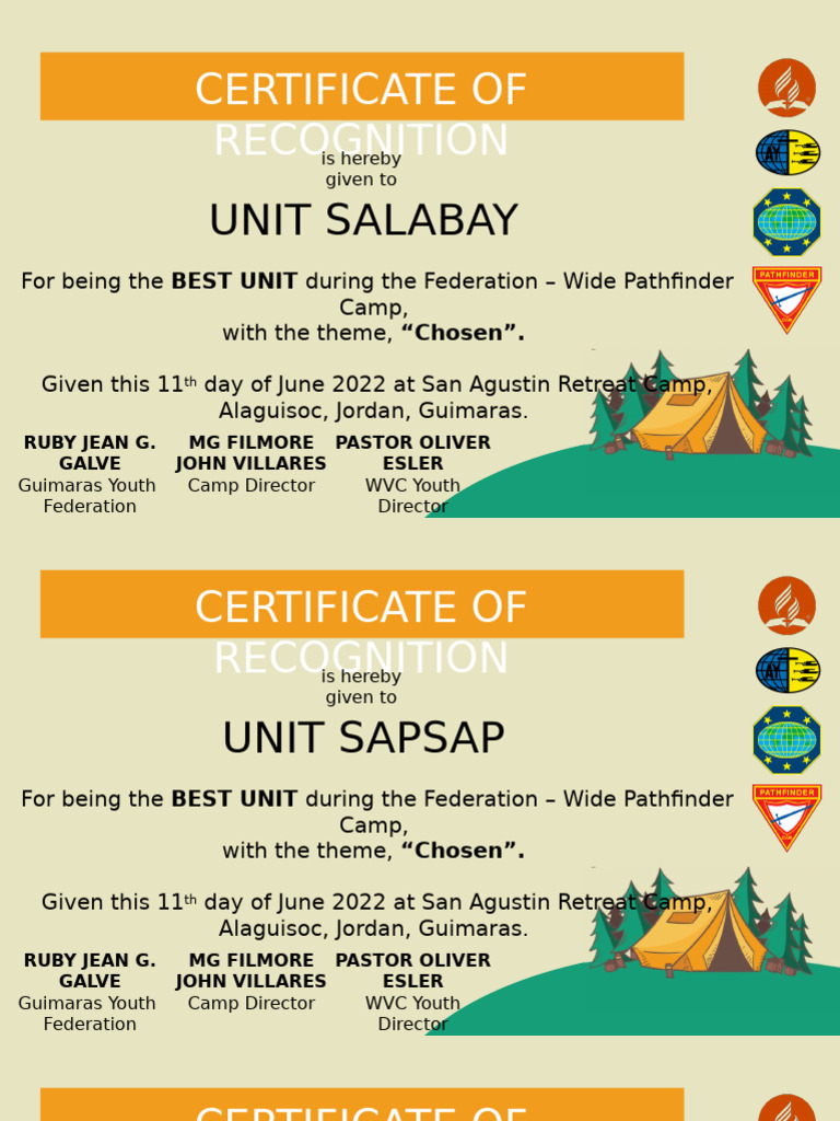 Best Units Recognition at Pathfinder Camp | PDF