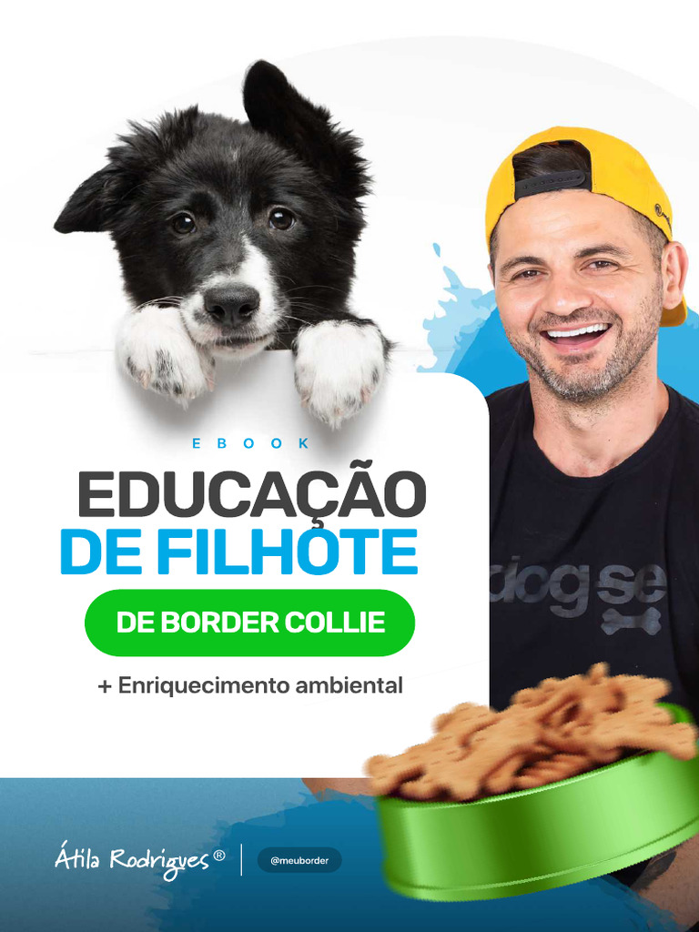 Educação e Adestramento de Filhotes Border Collie | PDF | Cães ...