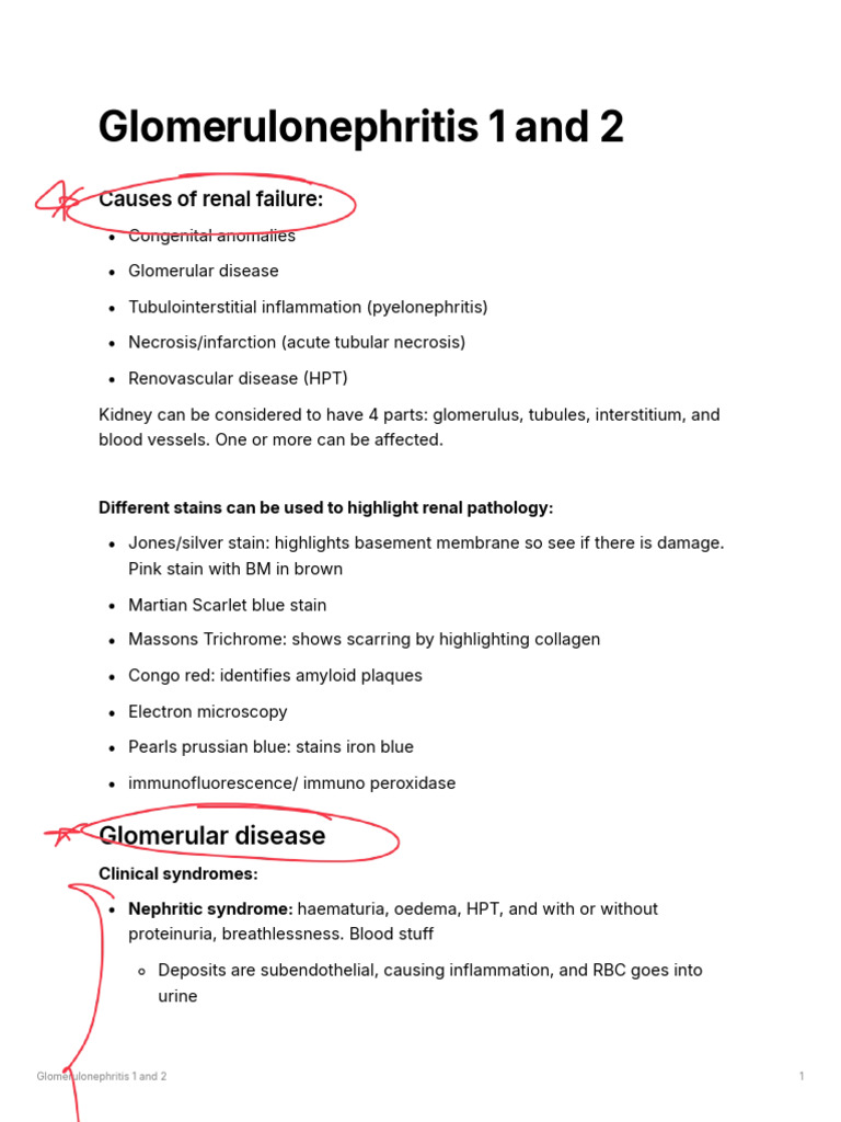 Understanding Glomerulonephritis Types | PDF | Kidney | Internal Medicine