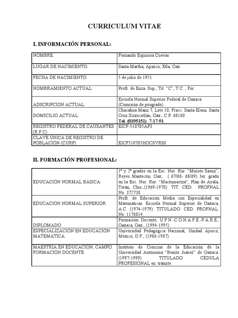 Formato de curriculum word picture