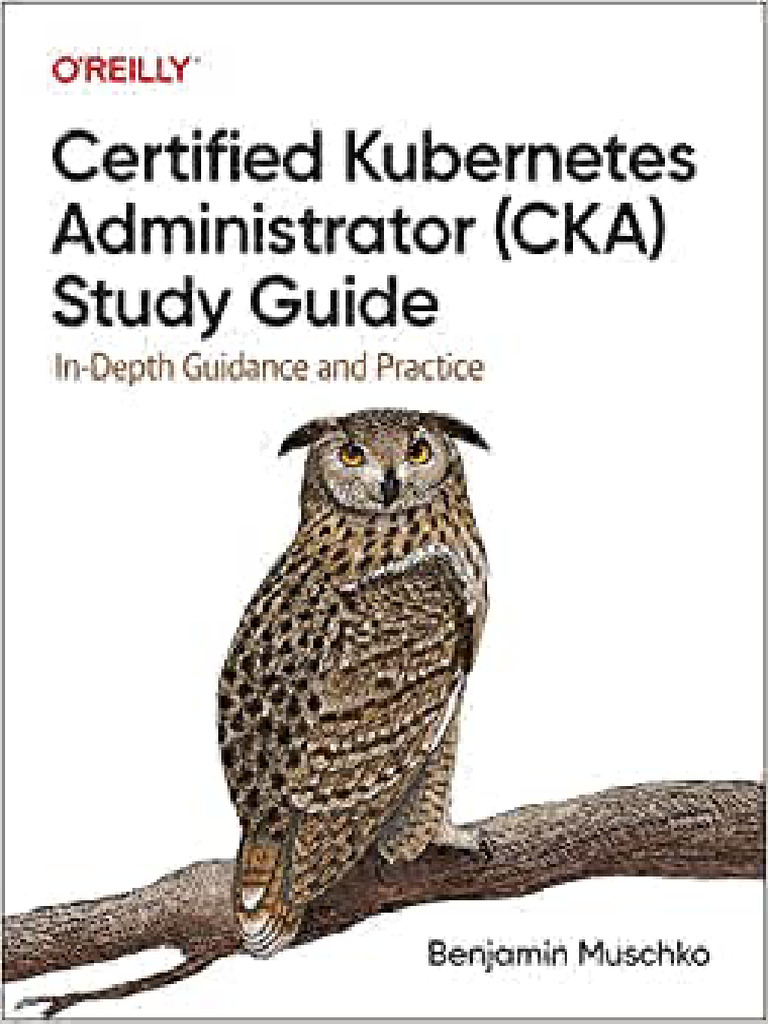 CKA Study Guide: In-Depth Practice | PDF