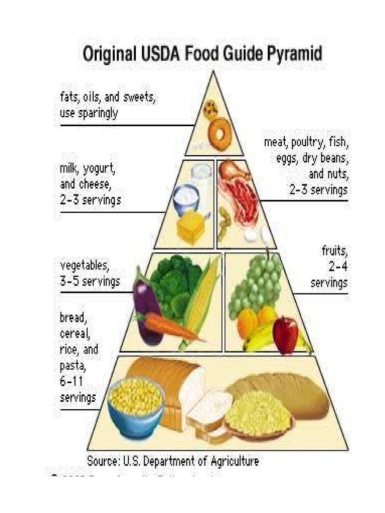 Food | PDF