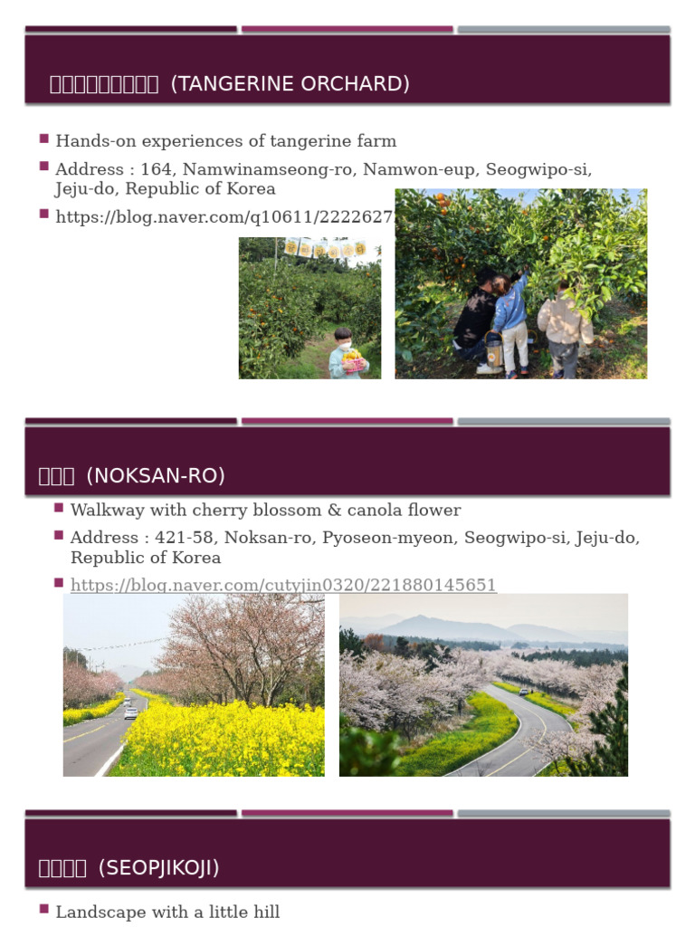Jeju | PDF