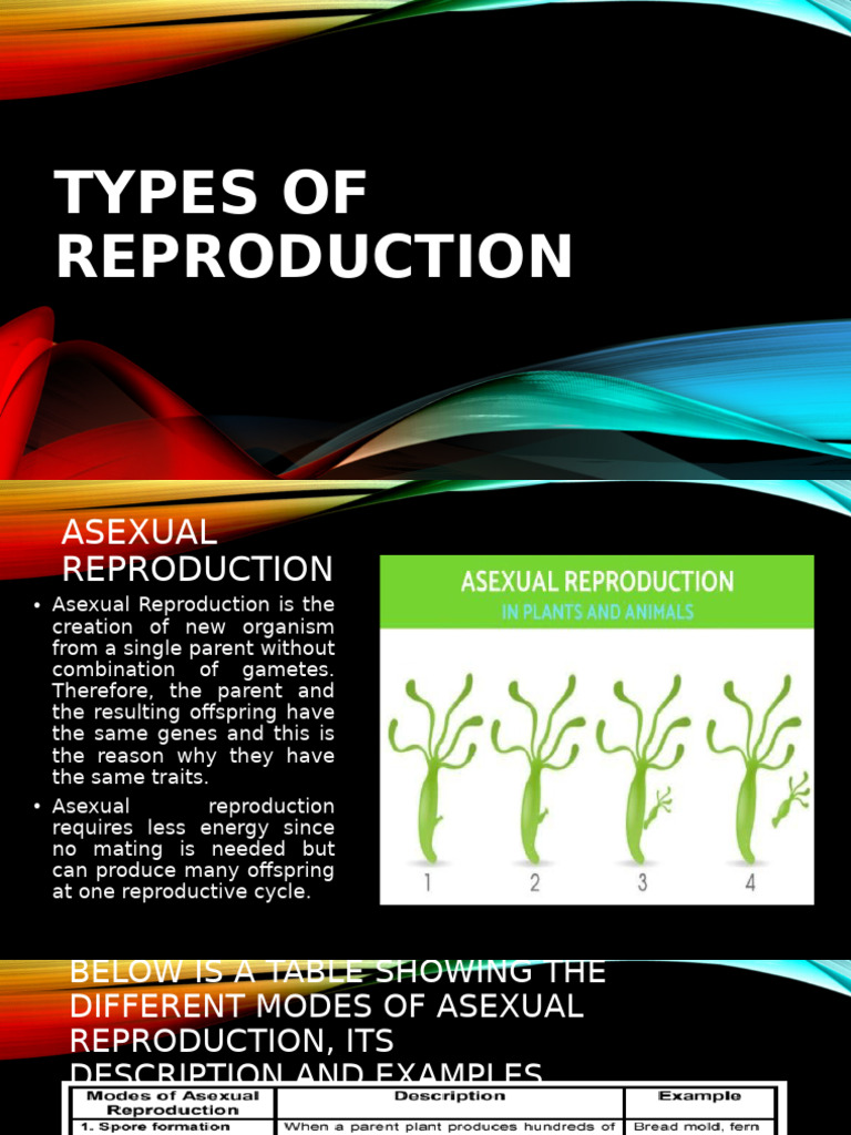 Asexual and Sexual Reproduction Types | PDF | Fertilisation | Flowers