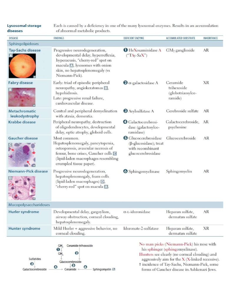 Pediatric For Emree | PDF