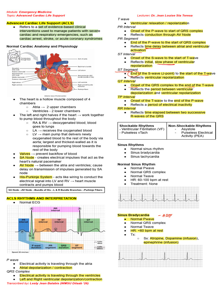 Advanced Cardiac Life Support Guide | PDF | Heart | Electrocardiography