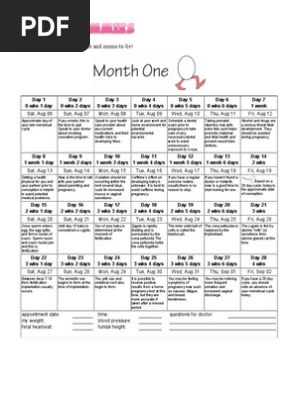 Printable Pregnancy Calendar