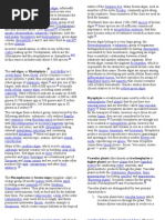 Download Chlorophyta is a Division of Green Algae by John Patrick Pascual SN81273268 doc pdf