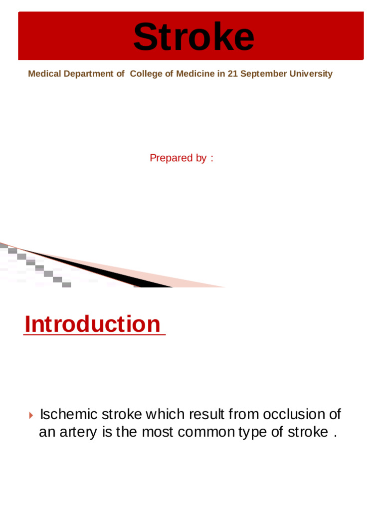 Understanding Stroke Types and Management | PDF | Stroke | Human ...