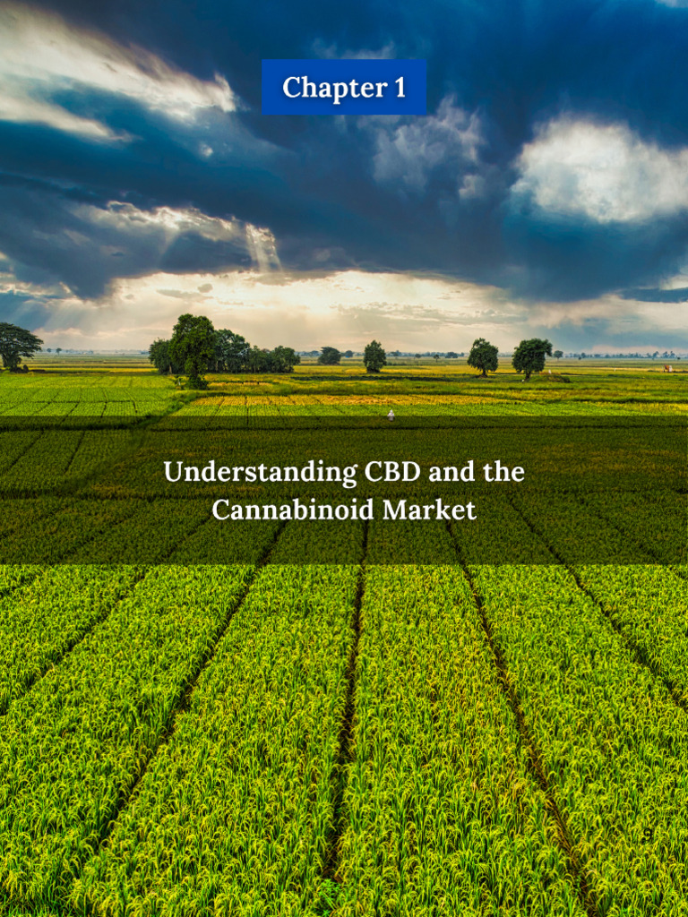 The Science of Cannabinoids Chapter 1: Understanding CBD and The ...