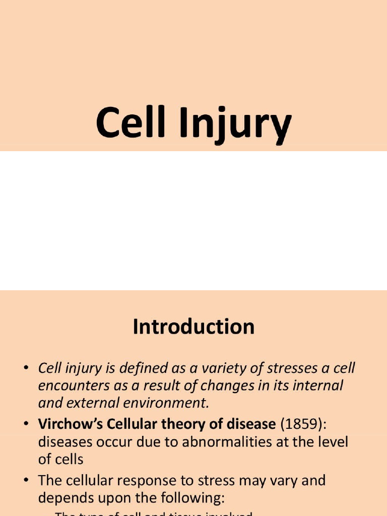 Cell Injury 53513510 | PDF