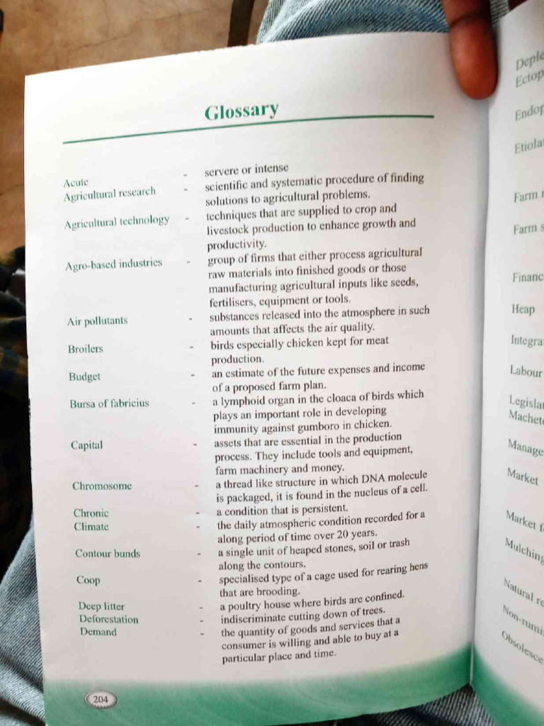 Glossary | PDF