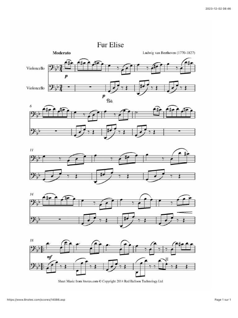 For Élise 1 - Duo | PDF