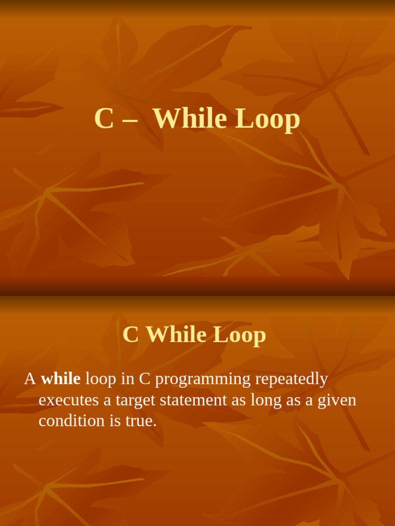 c-while-loop-pdf