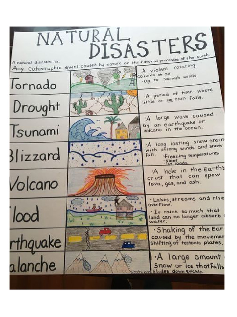Disater 4 | PDF