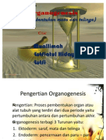 Org A No Genesis Pembetukan Mata Dan Telingan