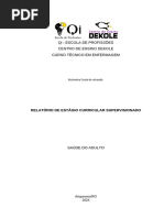 Relatorio de Adm | PDF | Aprendizado