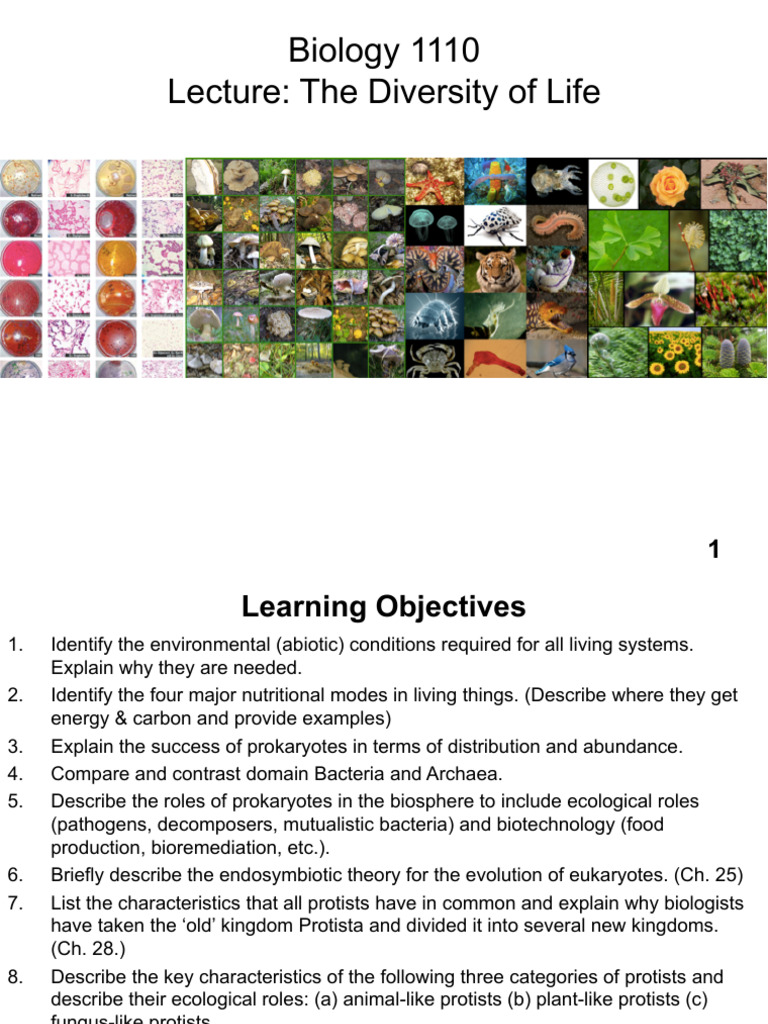 4lecture Diversity of Life | PDF | Archaea | Bacteria