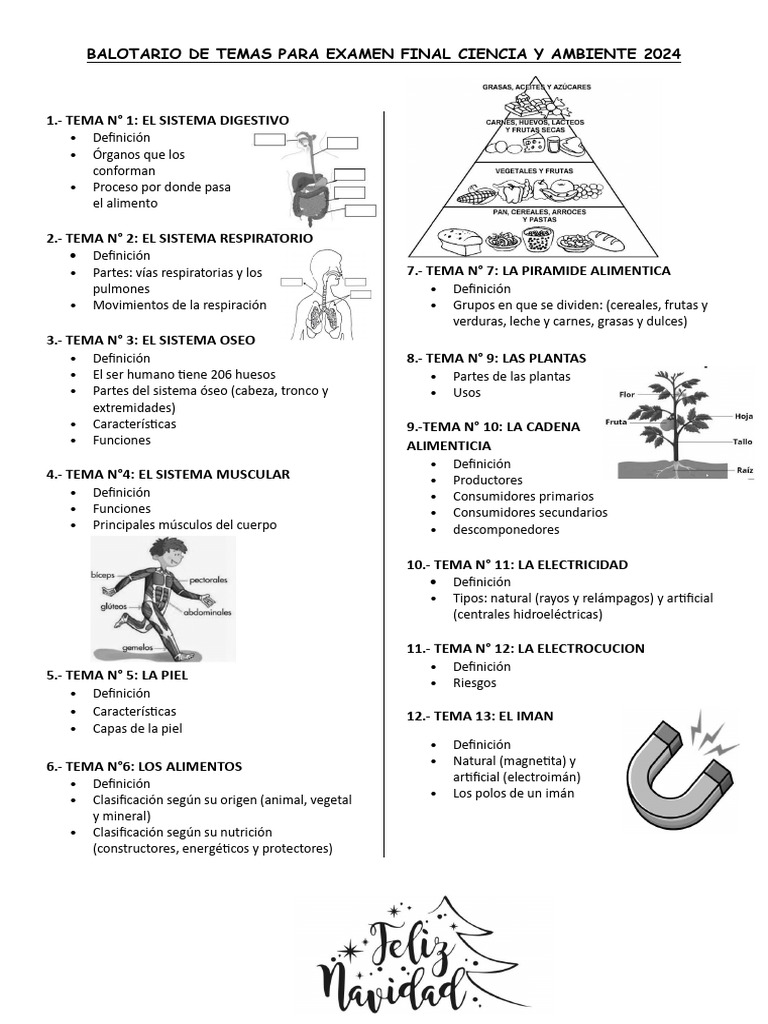 BALOTARIO DE TEMAS PARA EXAMEN FINAL CIENCIA Y AMBIENTE 2024 2do | PDF ...