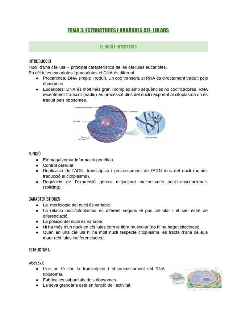 Apunts Bloc 9 | PDF