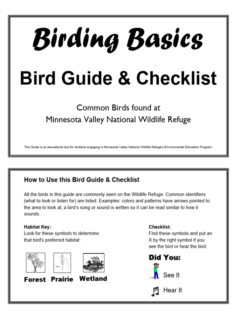 Birding Basics Bird Guide 508 | PDF | Birds | Ornithology