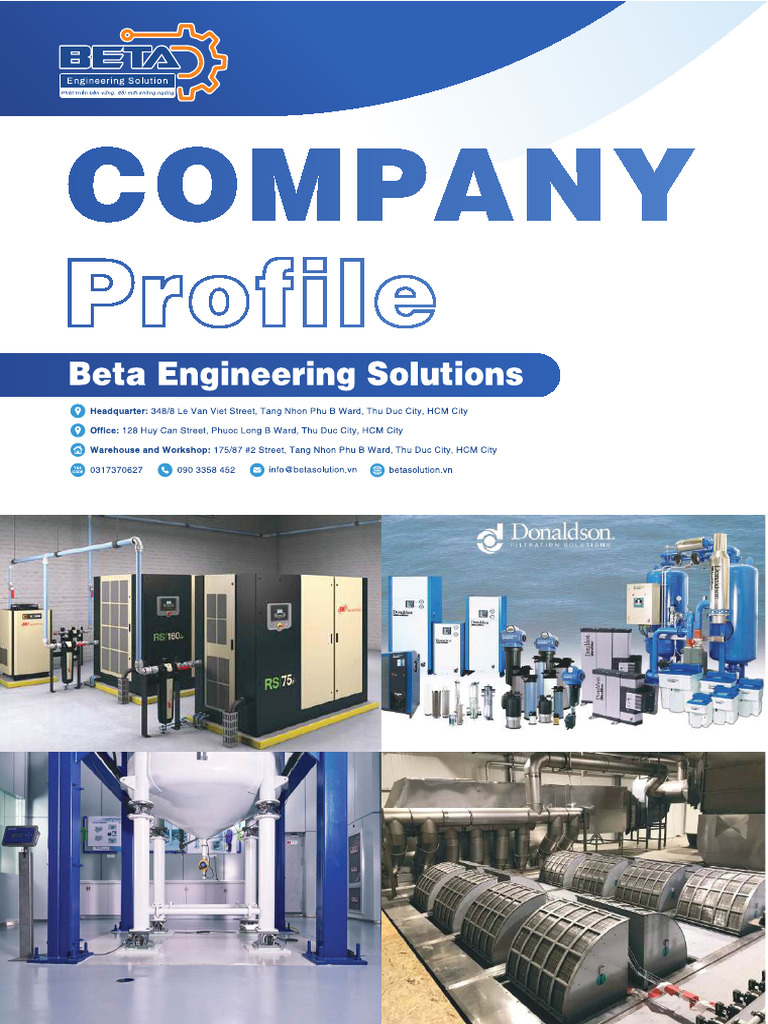 Beta Profile | PDF