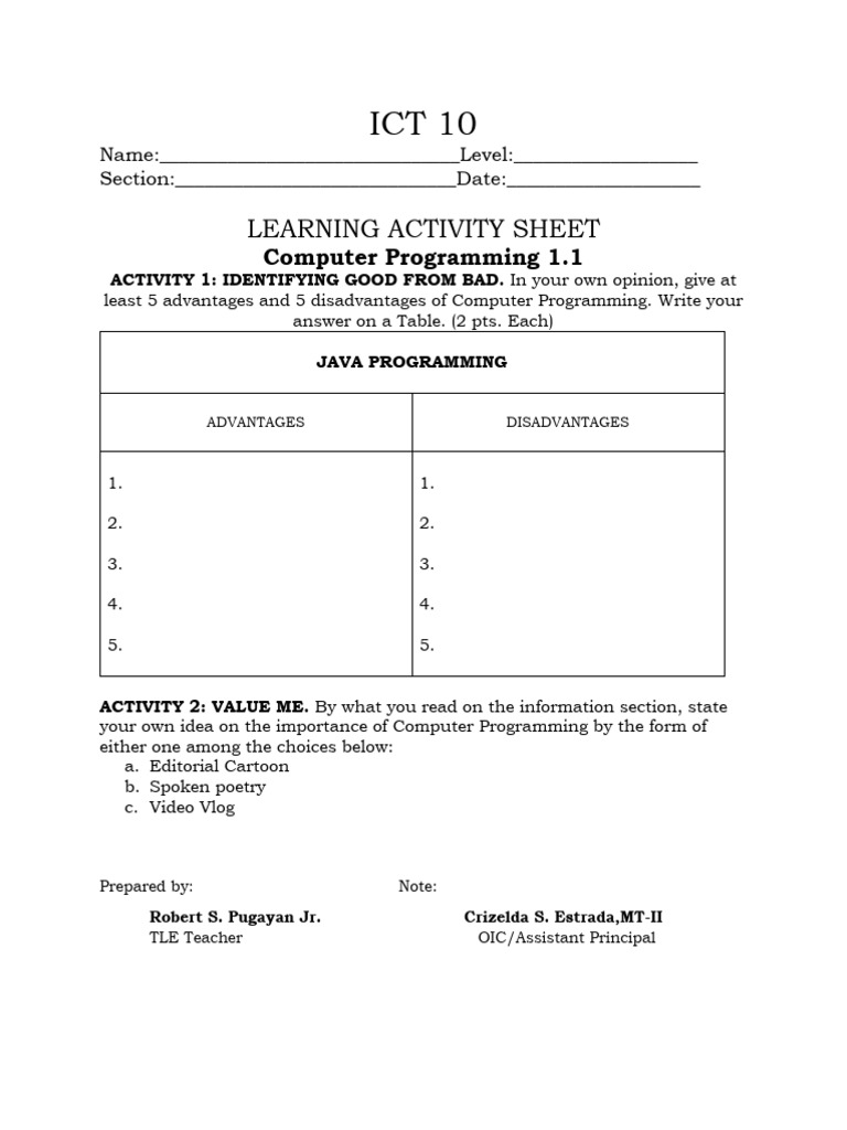 STE 10-Computer Programming Activity | PDF