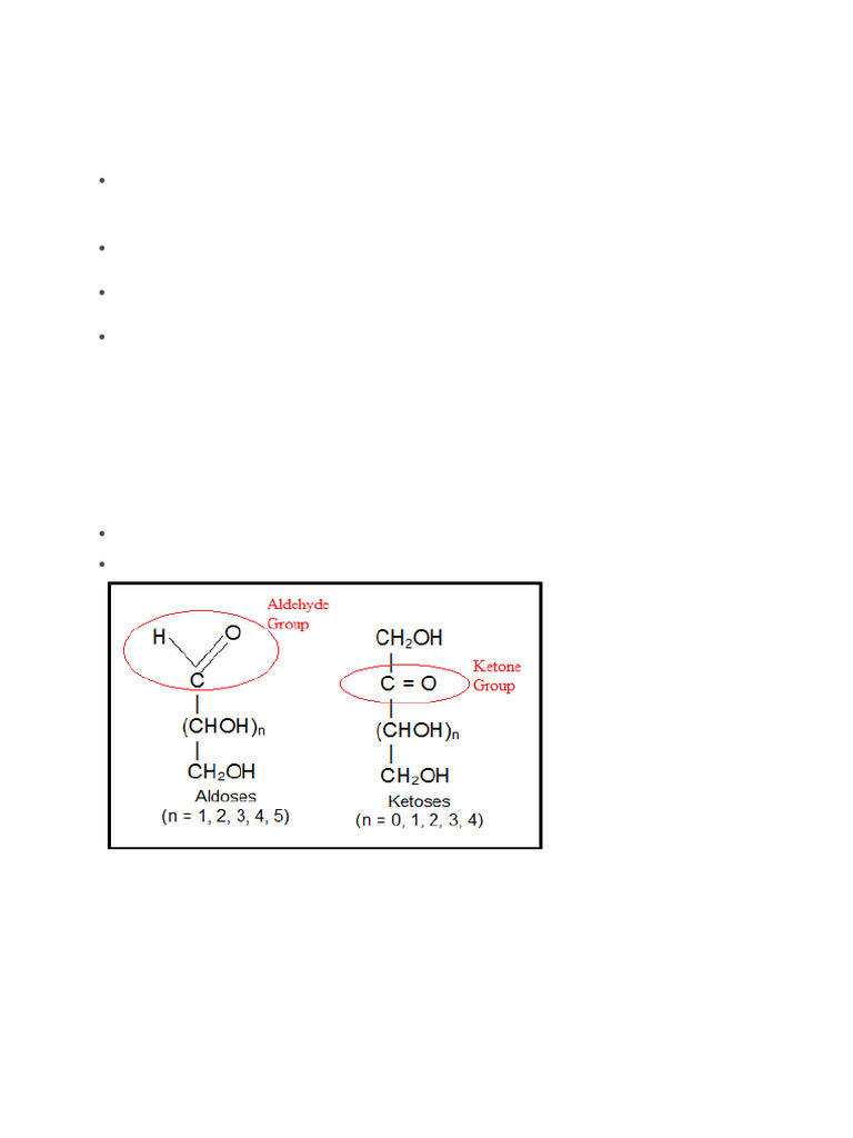 Bio Molecules Short Notes | PDF | Carbohydrates | Glucose