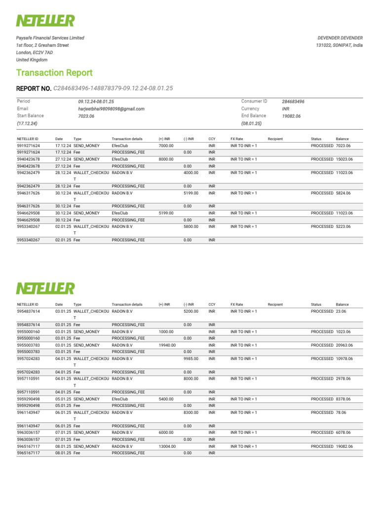 Neteller Transaction Report Summary | PDF | Money | Market (Economics)