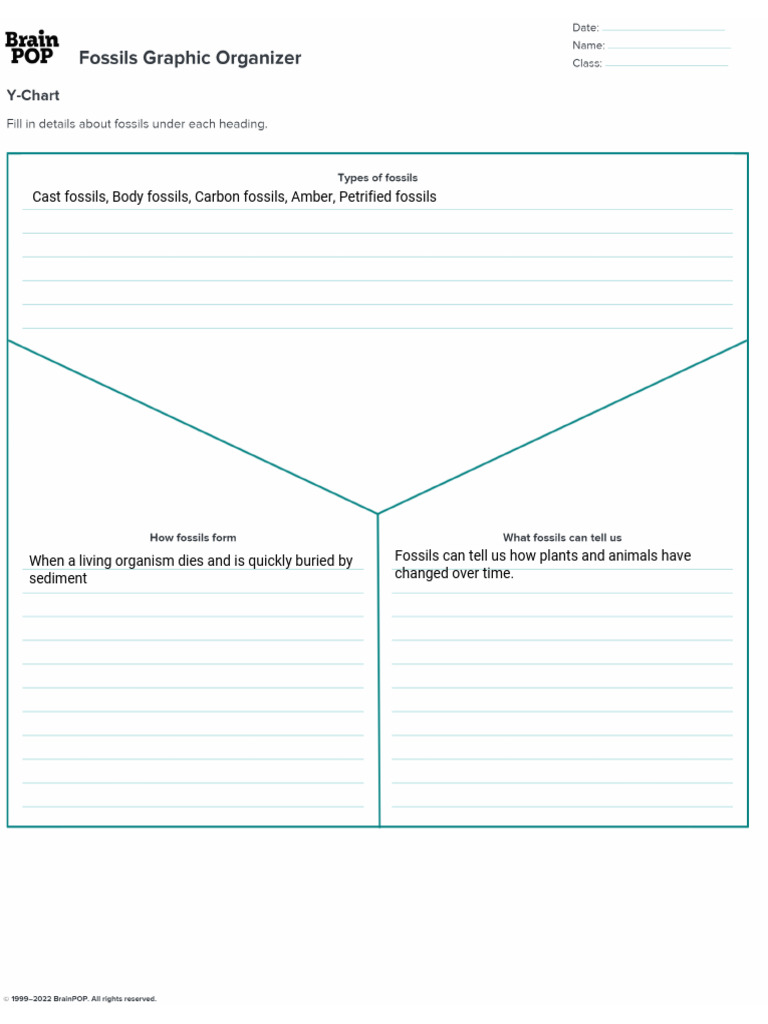 Day 24 - BrainPOP Fossils Graphic Organizer | PDF