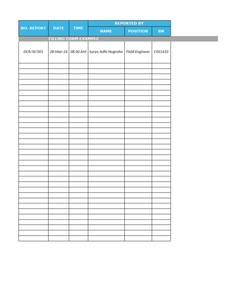 Daily Report Template1 | PDF